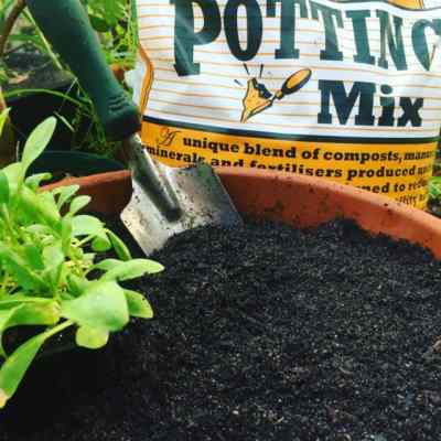 potting mix bag